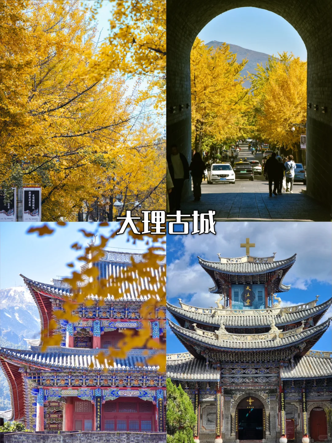 2025 国庆云南全攻略|昆大丽一次玩遍🥁