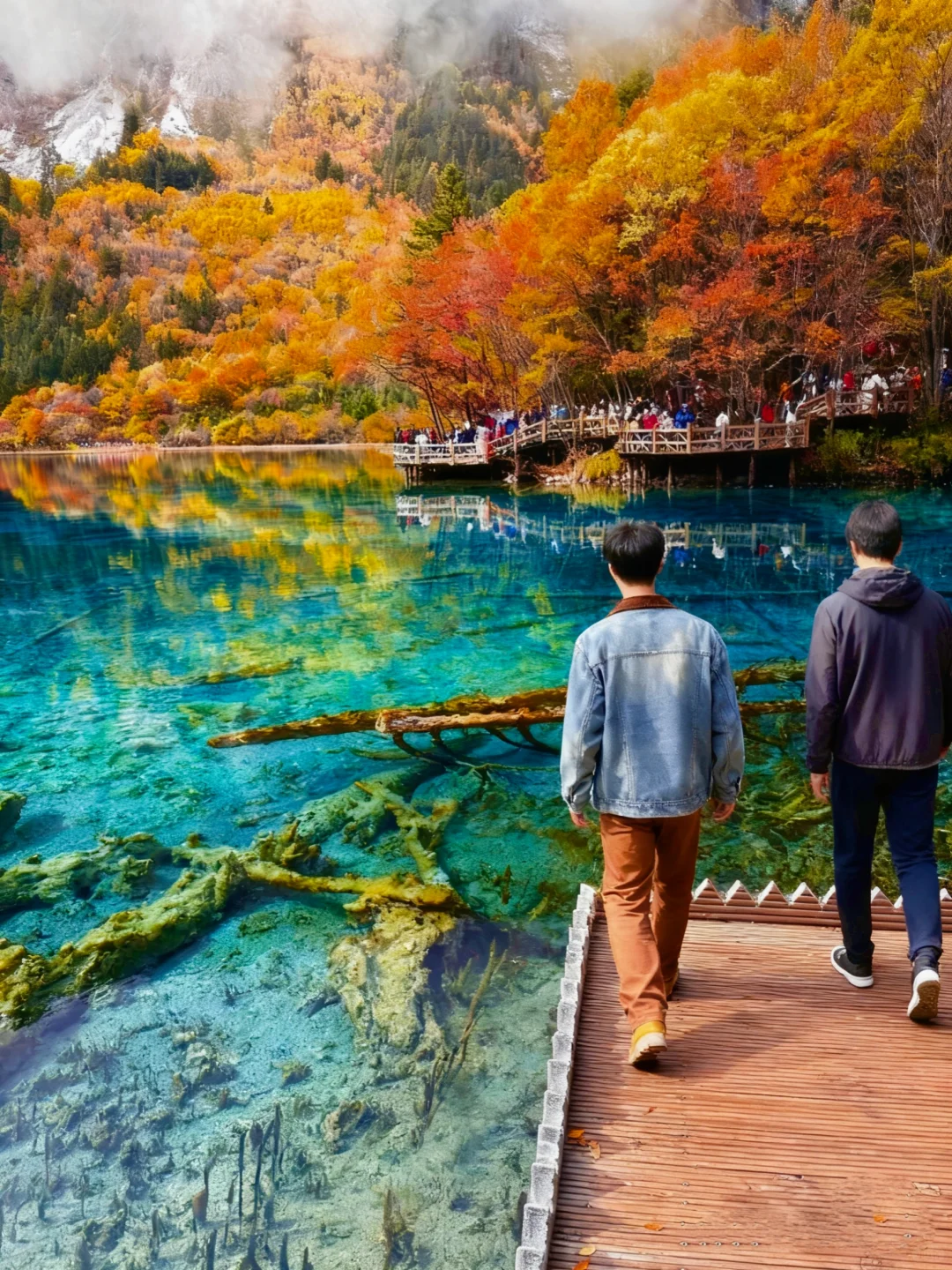 人生建议 10-11月一定要来九寨沟看秋日童话
