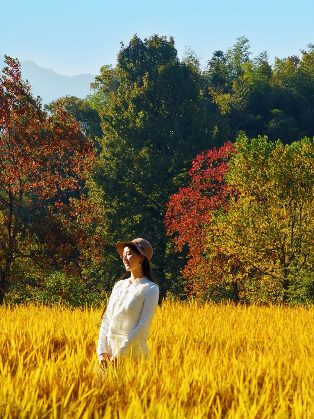 已经开始期待皖南的秋天了🍁🍁🍁
