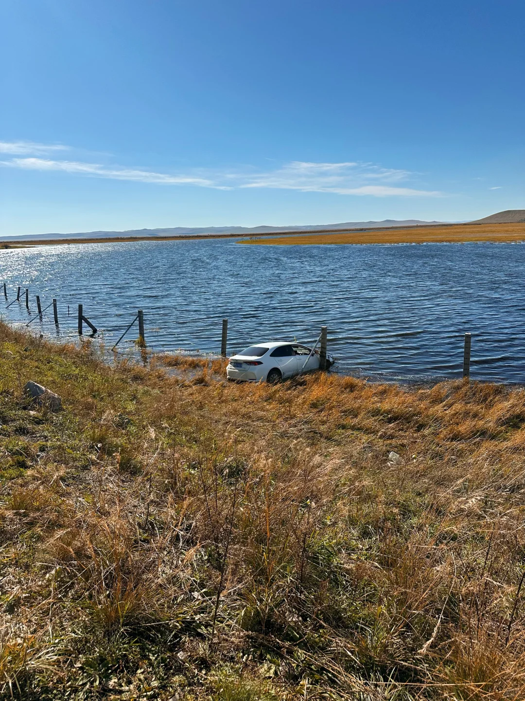 在呼伦贝尔见到了人生中最盛大的秋天🍂