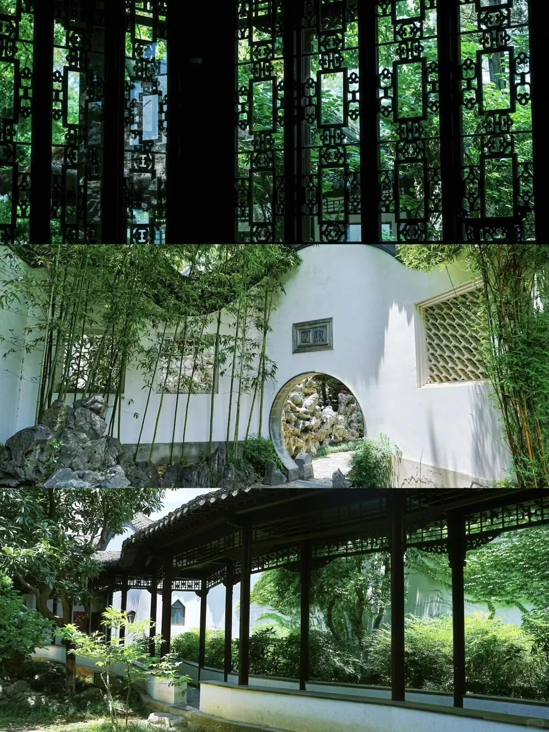 秋天在南京最适合citywalk的⑤条路线‼️