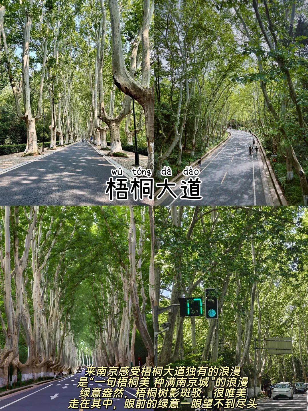 南京📍两天一夜｜保姆级逛吃攻略，超详细