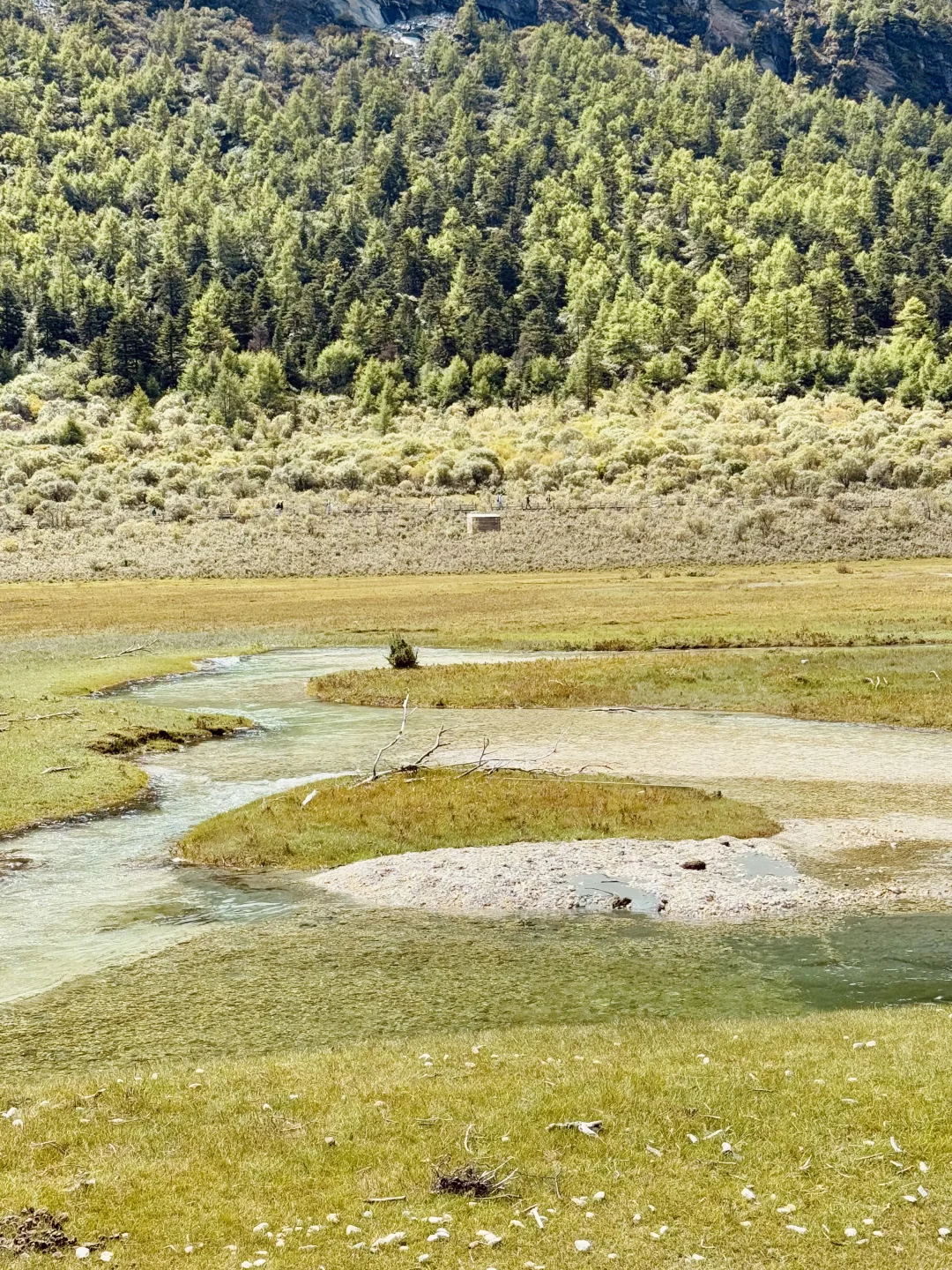 稻城亚丁很美 下次不来了