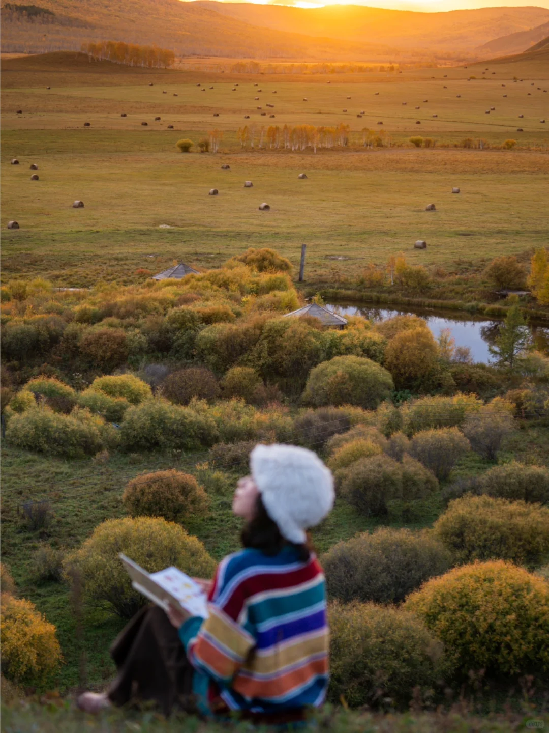 🍂你的内蒙追秋旅行攻略已准备好📚请查收!