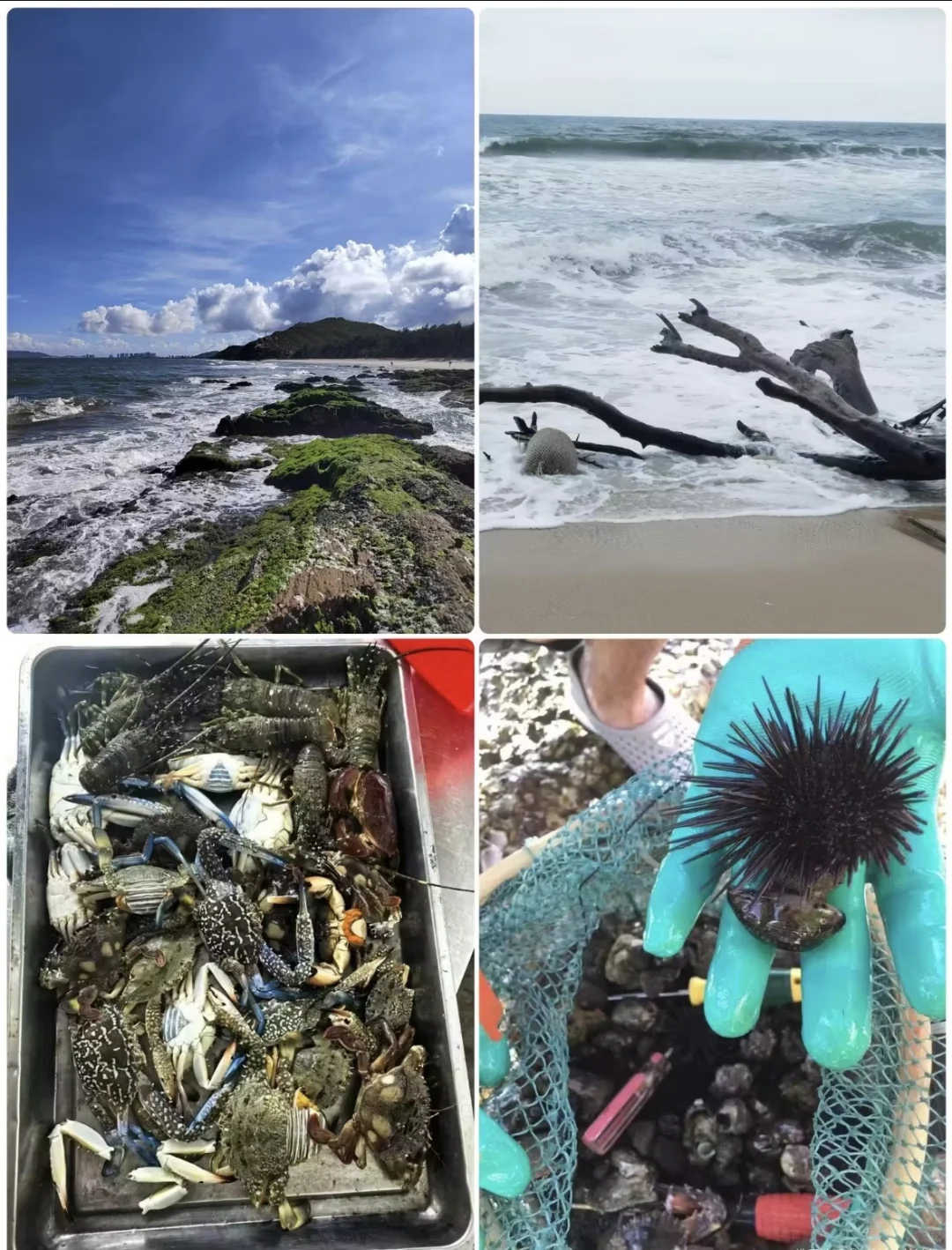 广东盐洲岛三天两夜，治愈好拉满！