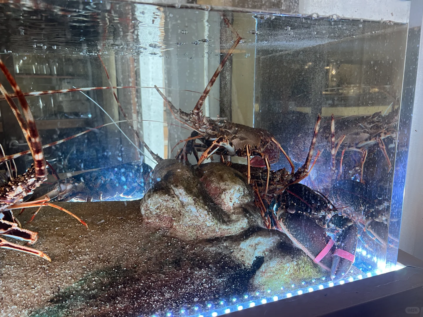 😂西班牙🇪🇸小众海岛🏝️旅行指南(干货版)