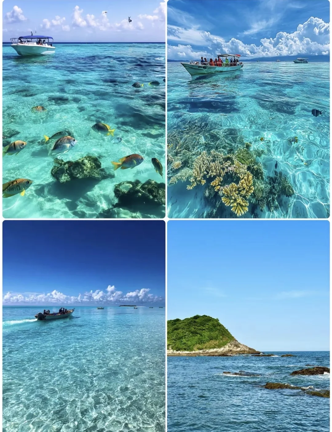 广东盐洲岛三天两夜,治愈好拉满!