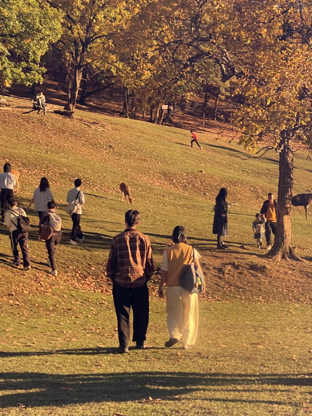 🍂一定要在秋天去一次小兴安岭