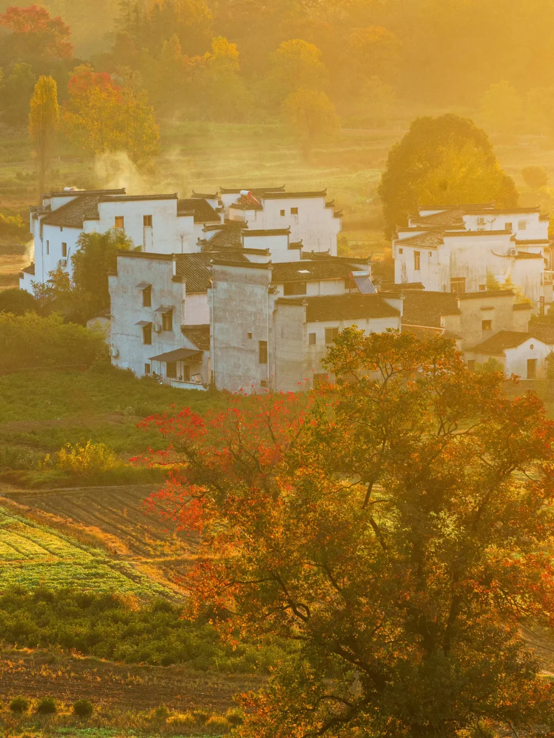 已经开始期待皖南的秋天了🍁🍁🍁