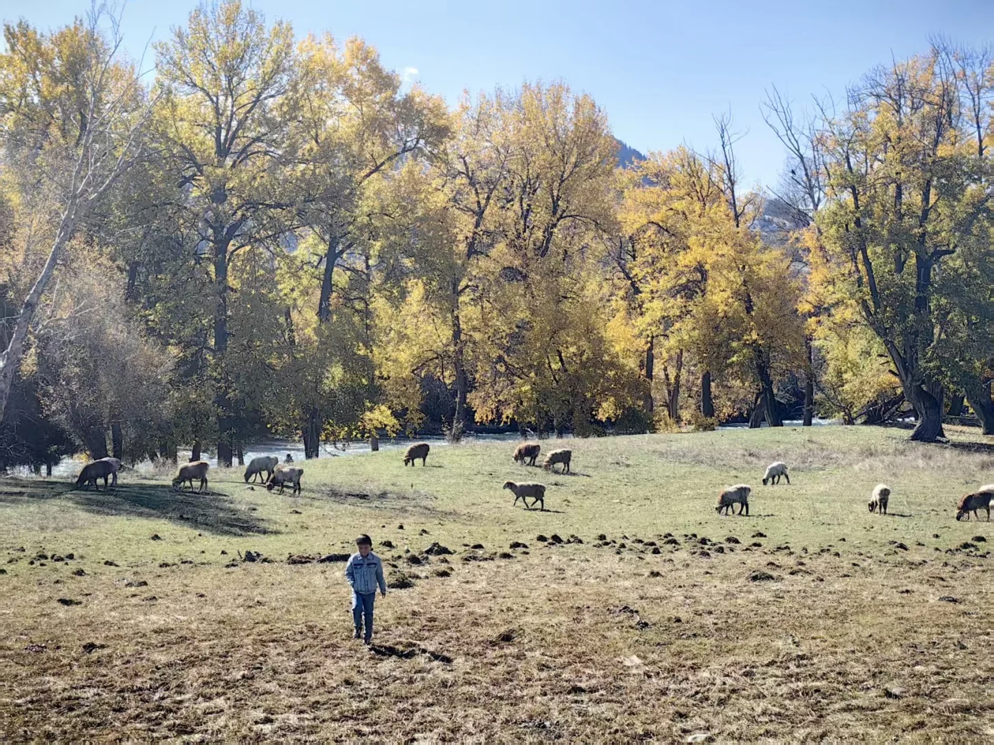 连续三年 十一带娃旅行没遇人挤人
