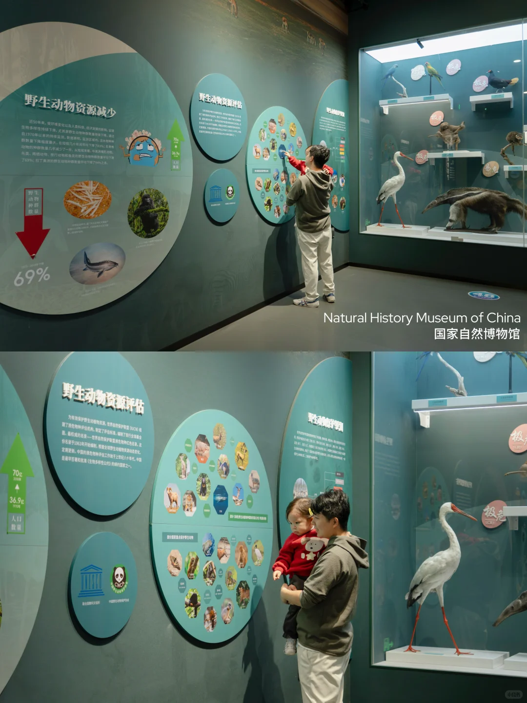 Live不愧是北京！这绝美水族馆竟然是免费的