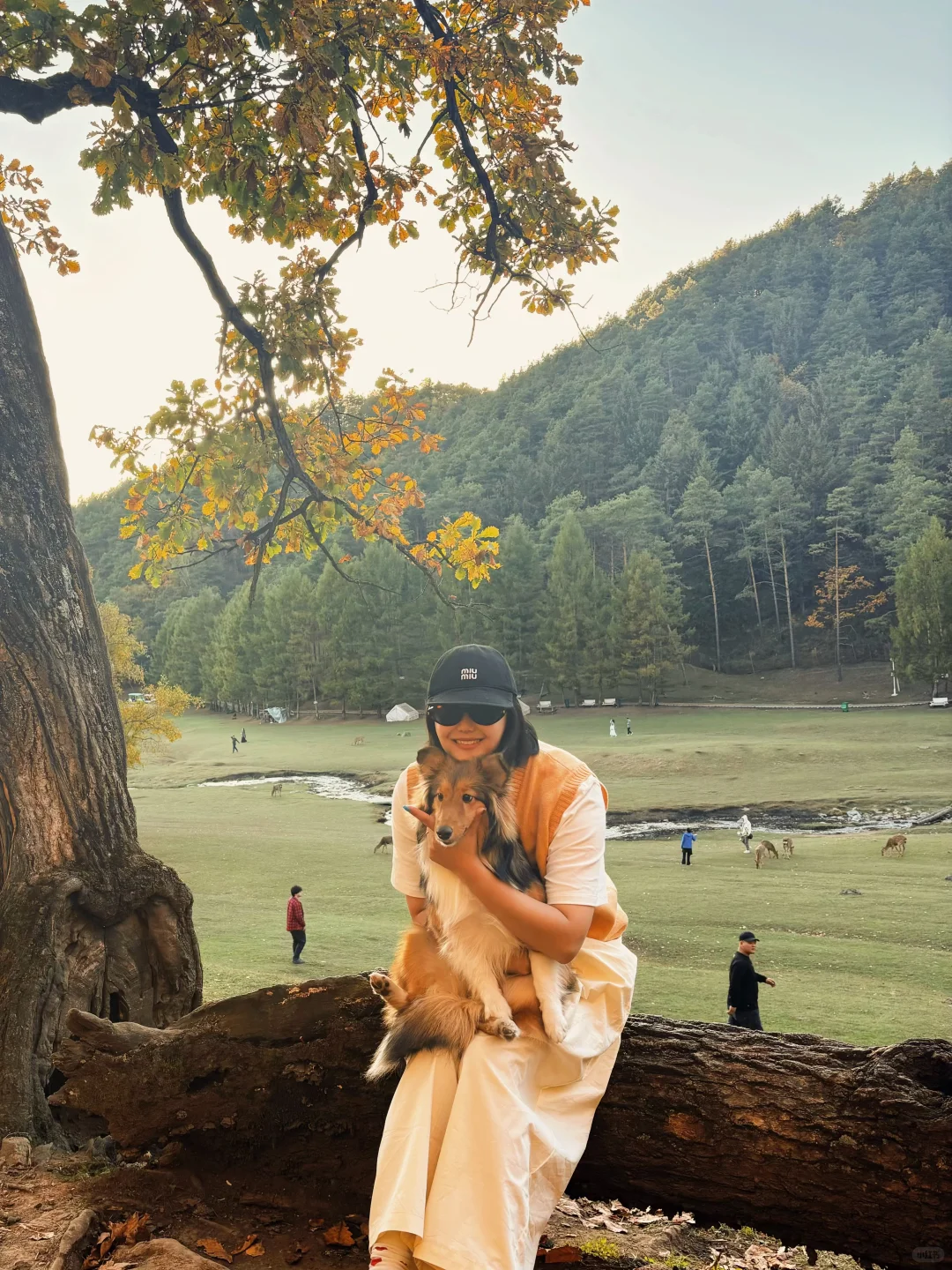 🍂一定要在秋天去一次小兴安岭