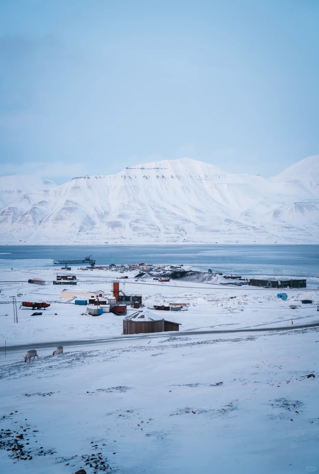 这里对中国永久免签!