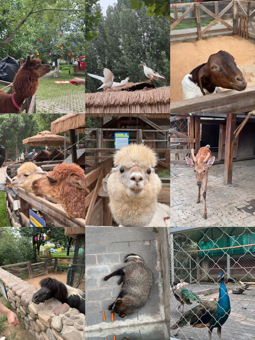 国庆反向自驾游,北京🚗1h7️⃣个小众景点合集