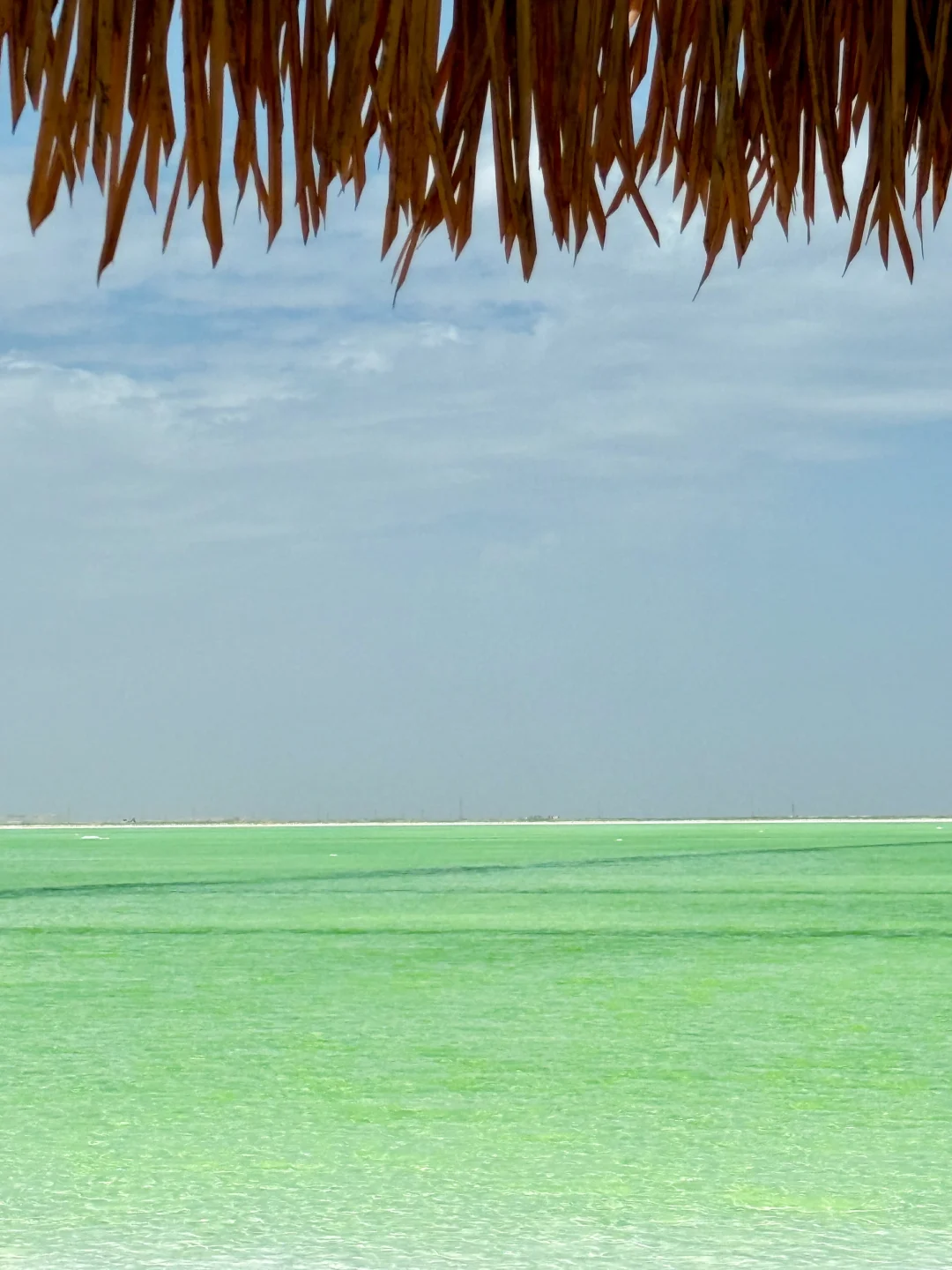 察尔汗盐湖|上帝打翻的青苹果汁🍏