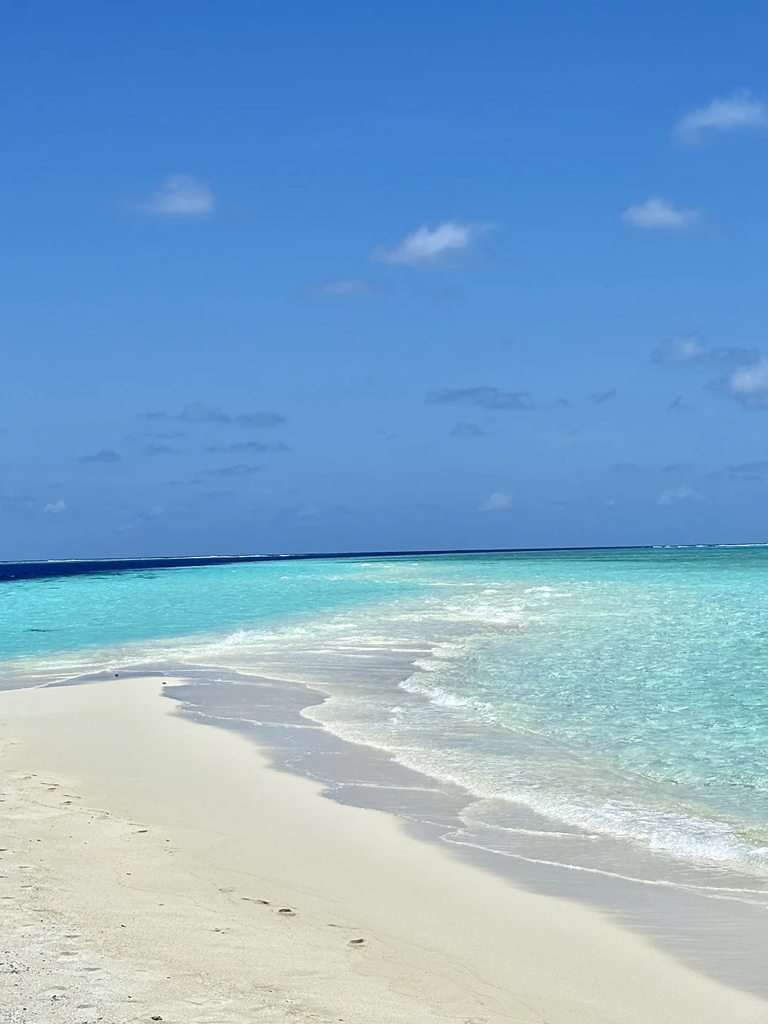 🇲🇻一个人的岛民日记