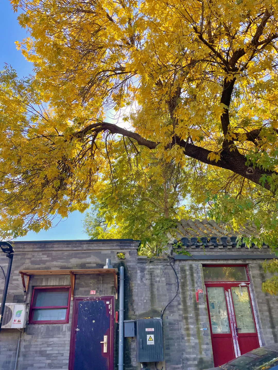 再过两周🍂北京才开始进入真正的秋天