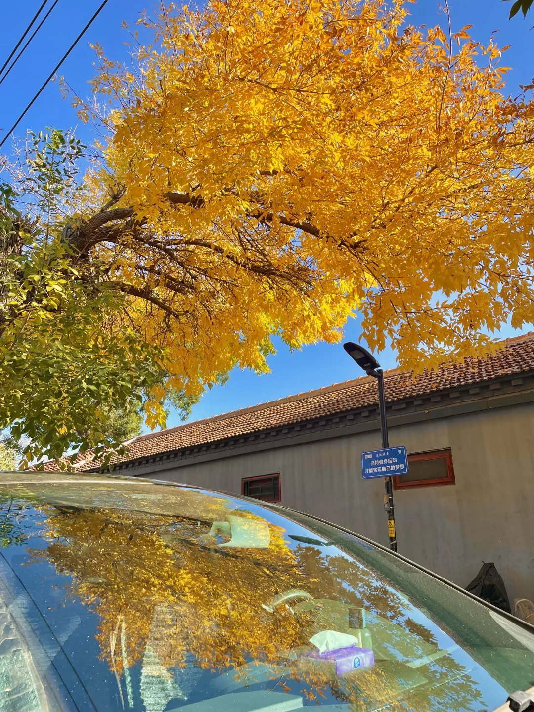 再过两周🍂北京才开始进入真正的秋天