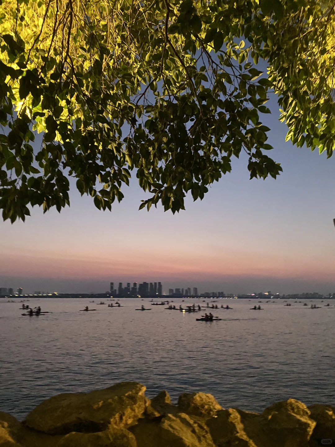 上海苏州往返一日游之放空