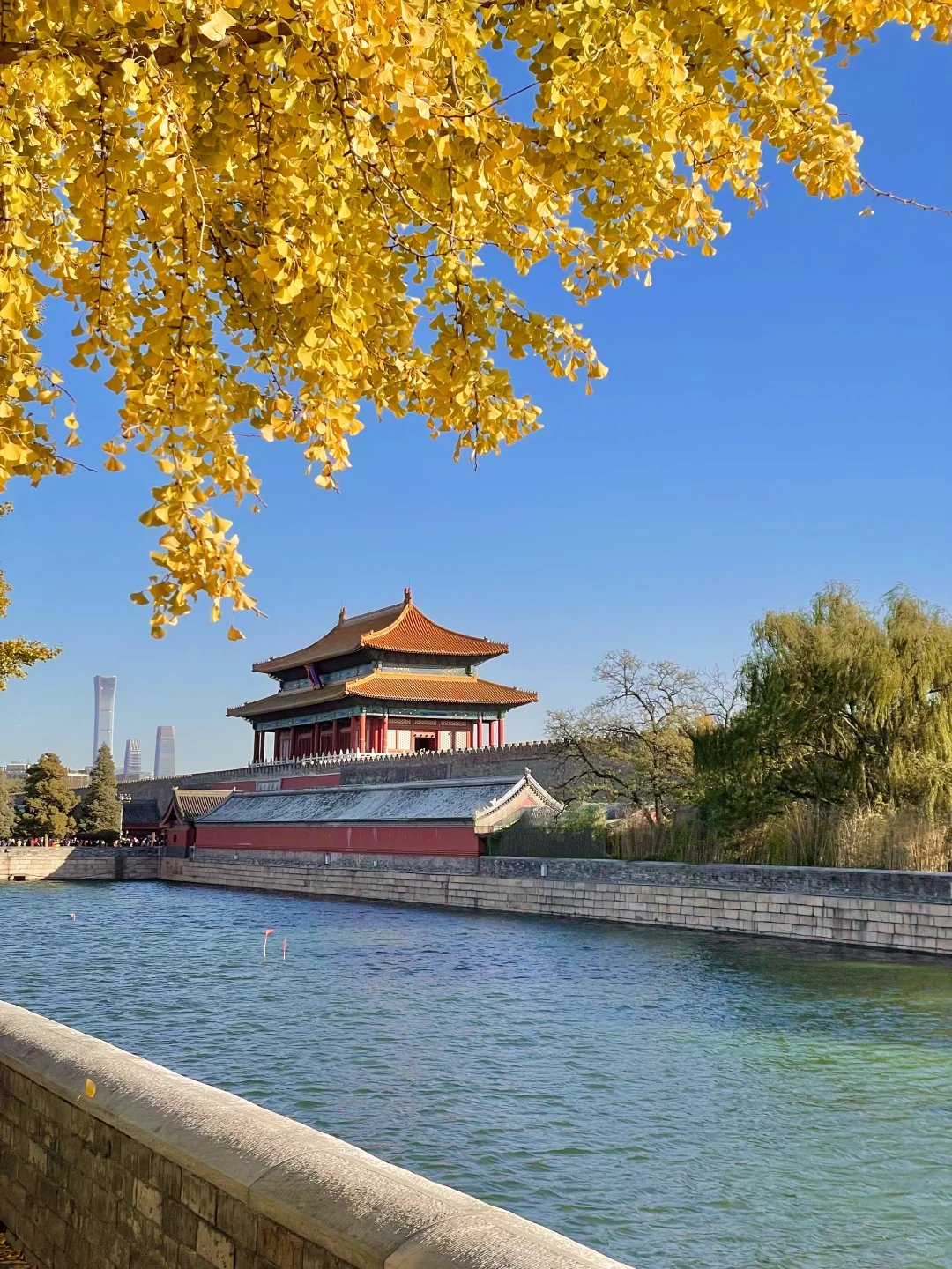 再过两周🍂北京才开始进入真正的秋天