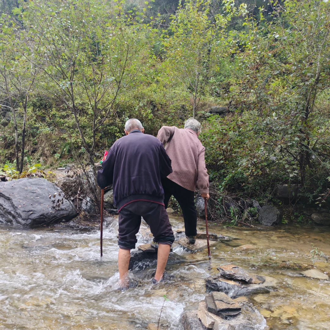 齐王寨景区请把村路修好