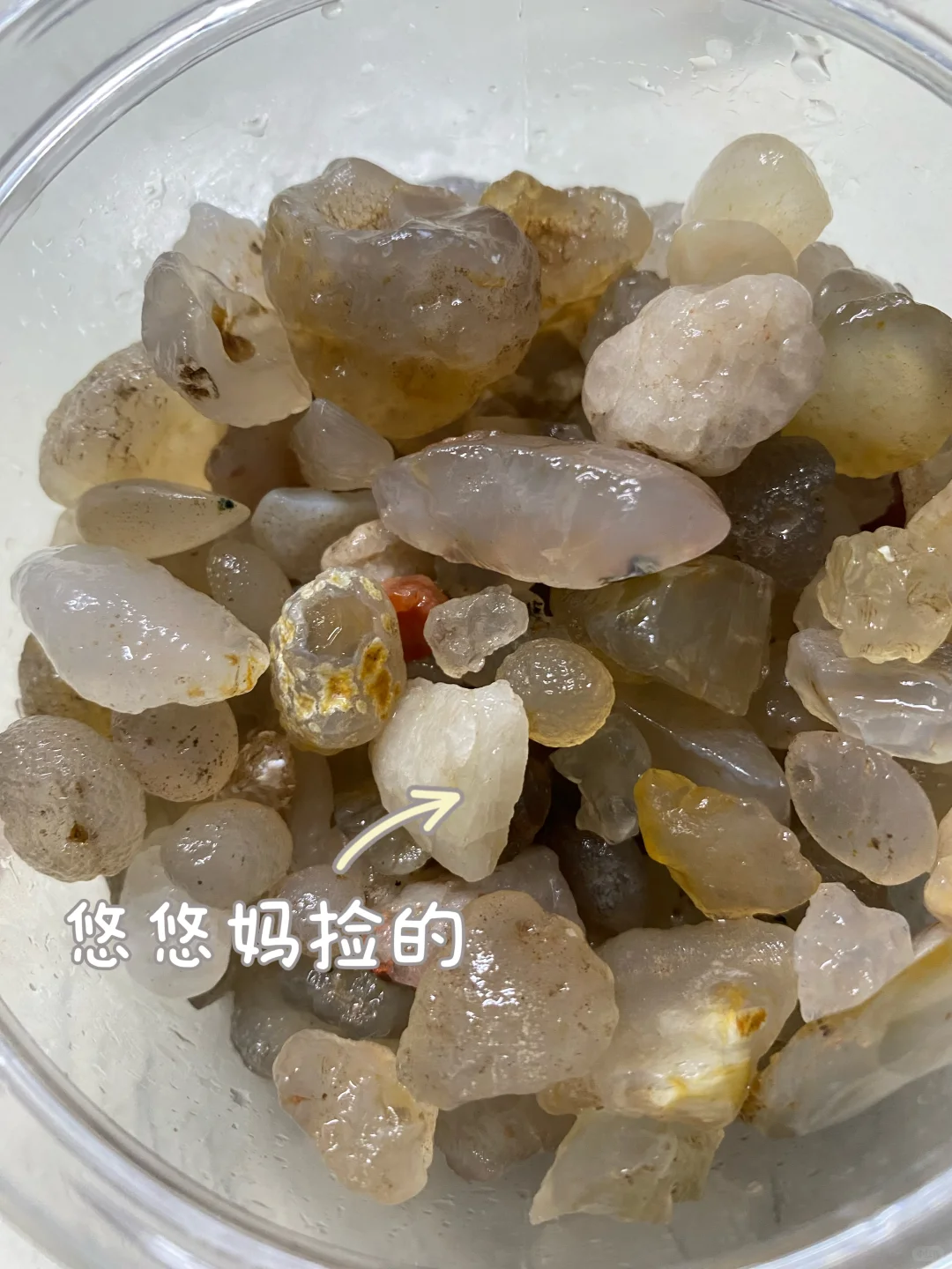 灰泉子村捡玛瑙,整片河滩都是亮晶晶✨宝石!