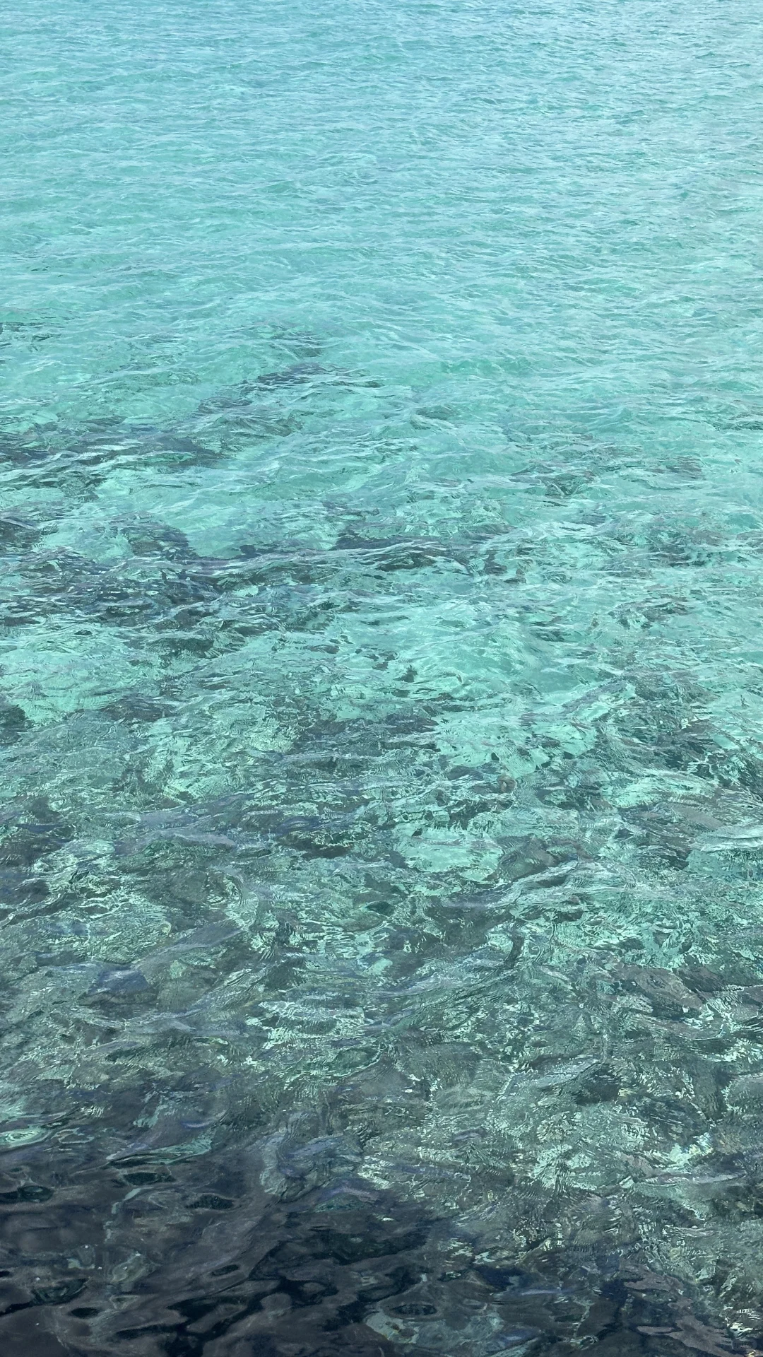 🌊超全玻璃海对比图鉴📝