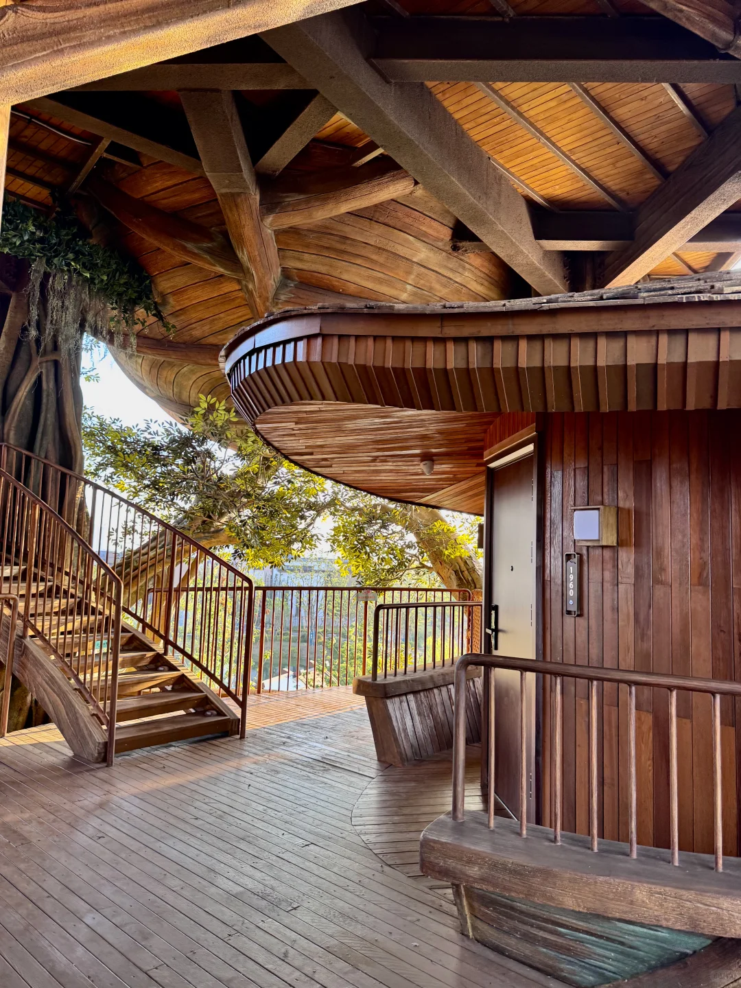 不是新西兰,是武汉,住进森林🌳树屋🛖