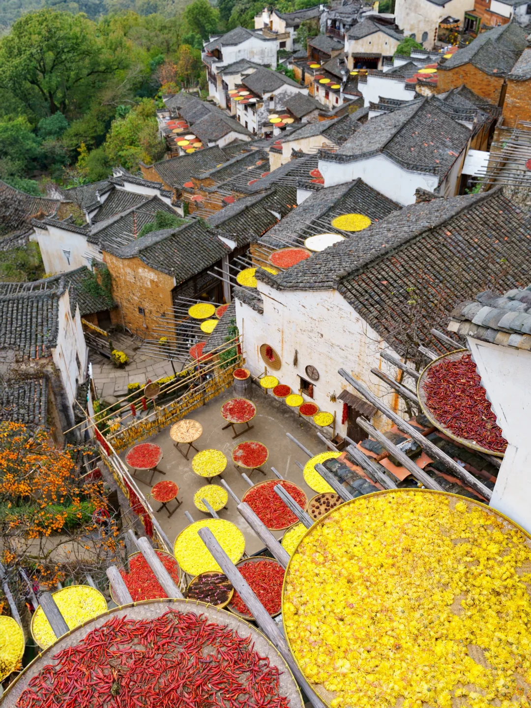 被《国家地理》评为中国最美的秋天🍂有多绝👍