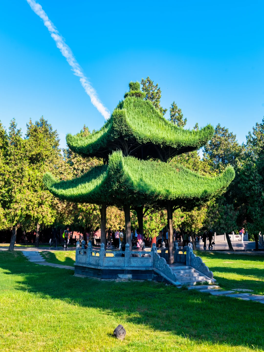 周口｜解锁伏羲故都的文化密码｜城市攻略