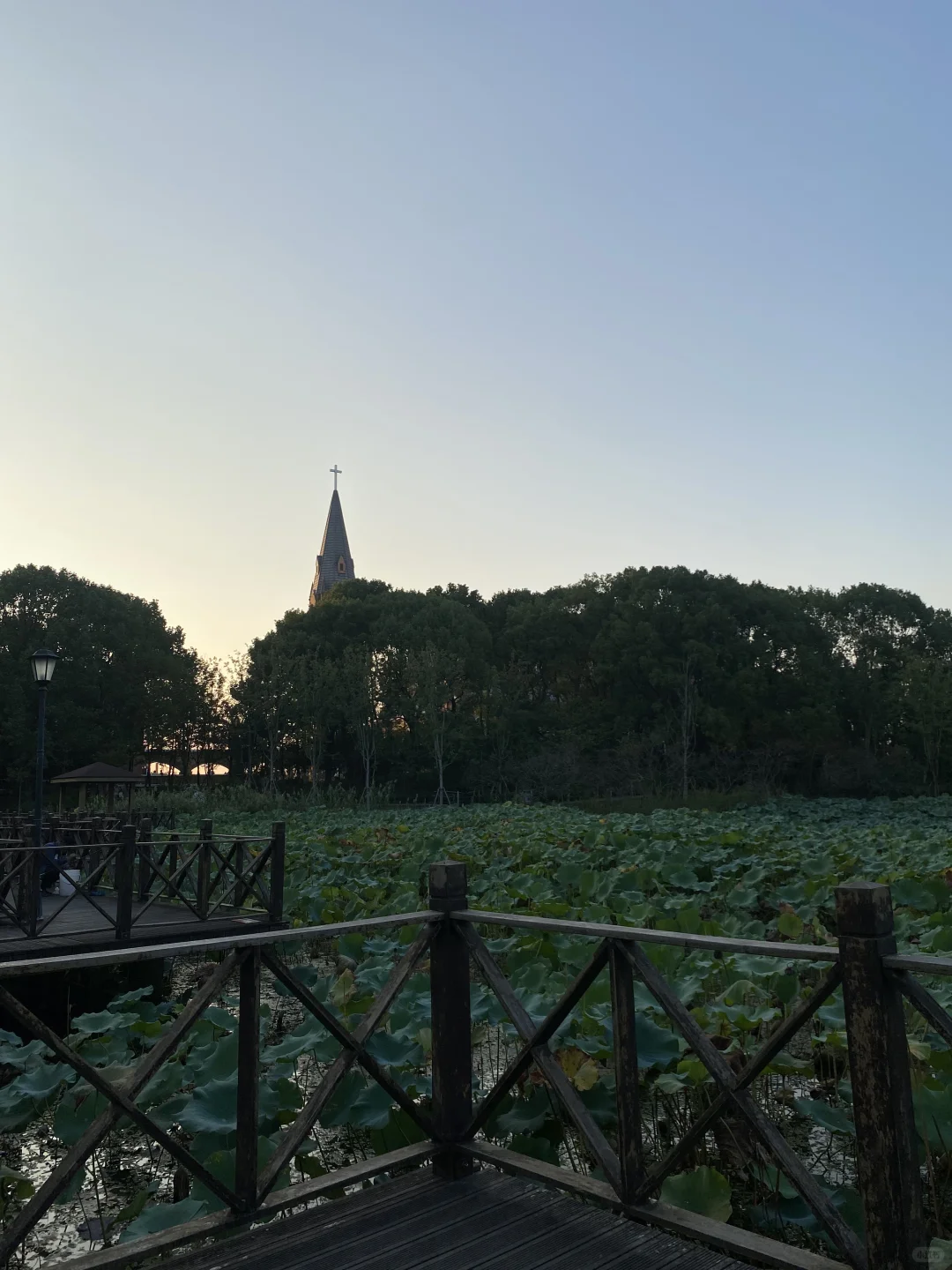 上海苏州往返一日游之放空