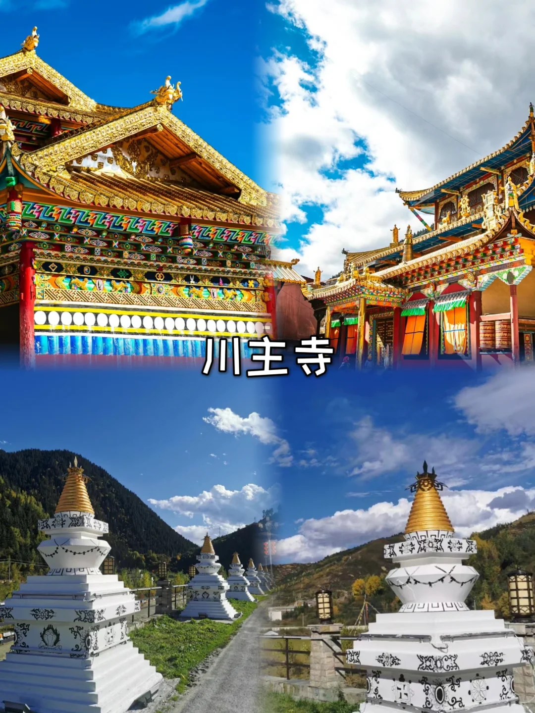 成都+九寨沟五日游❗10-11月两人1000+💃