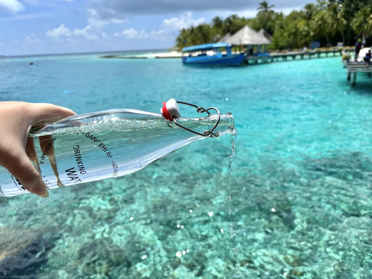 🇲🇻一个人的岛民日记
