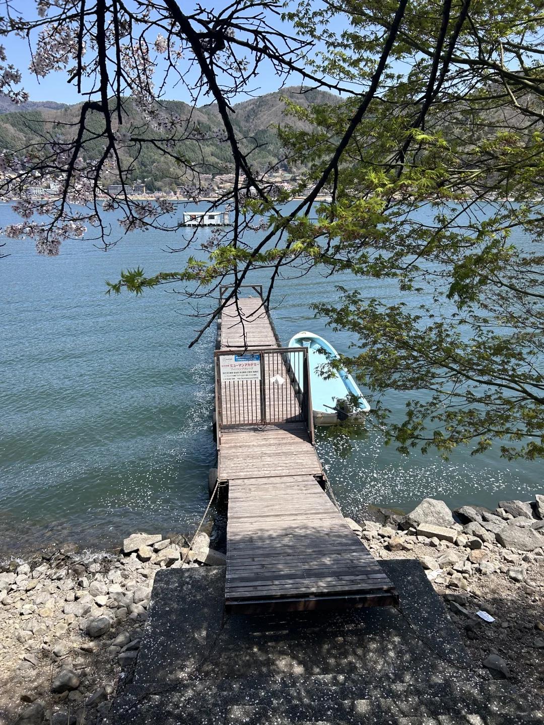 绝美富士山观赏攻略