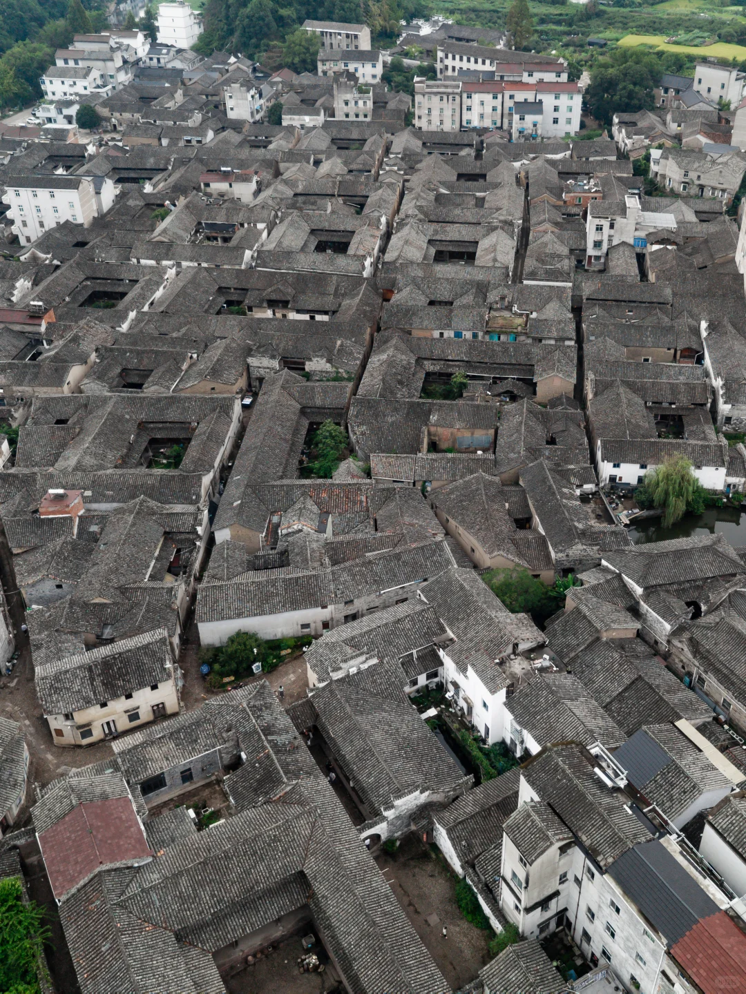 被《国家地理》称为人间仙境的丽水到底有多美