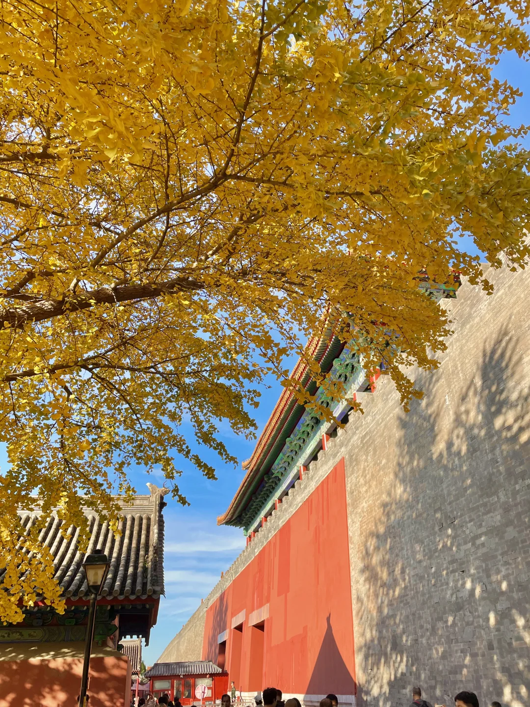 再过两周🍂北京才开始进入真正的秋天