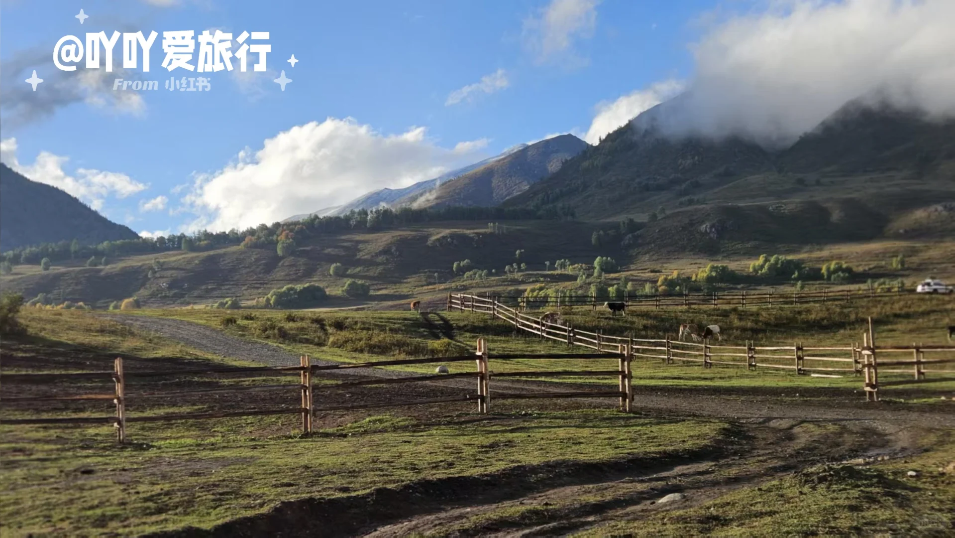 来禾木别再这么玩啦快点进来看正确玩法‼️