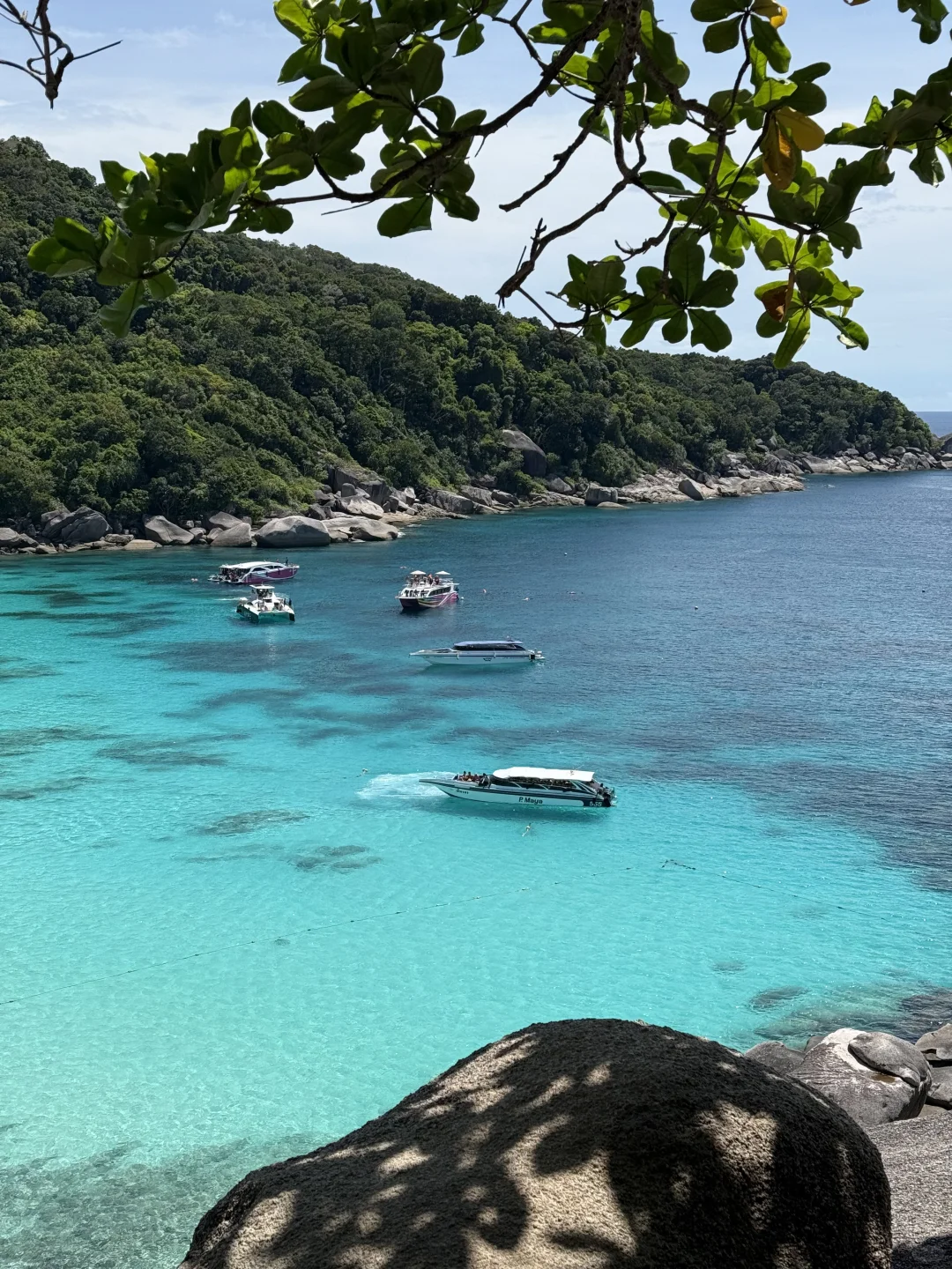 🌊超全玻璃海对比图鉴📝