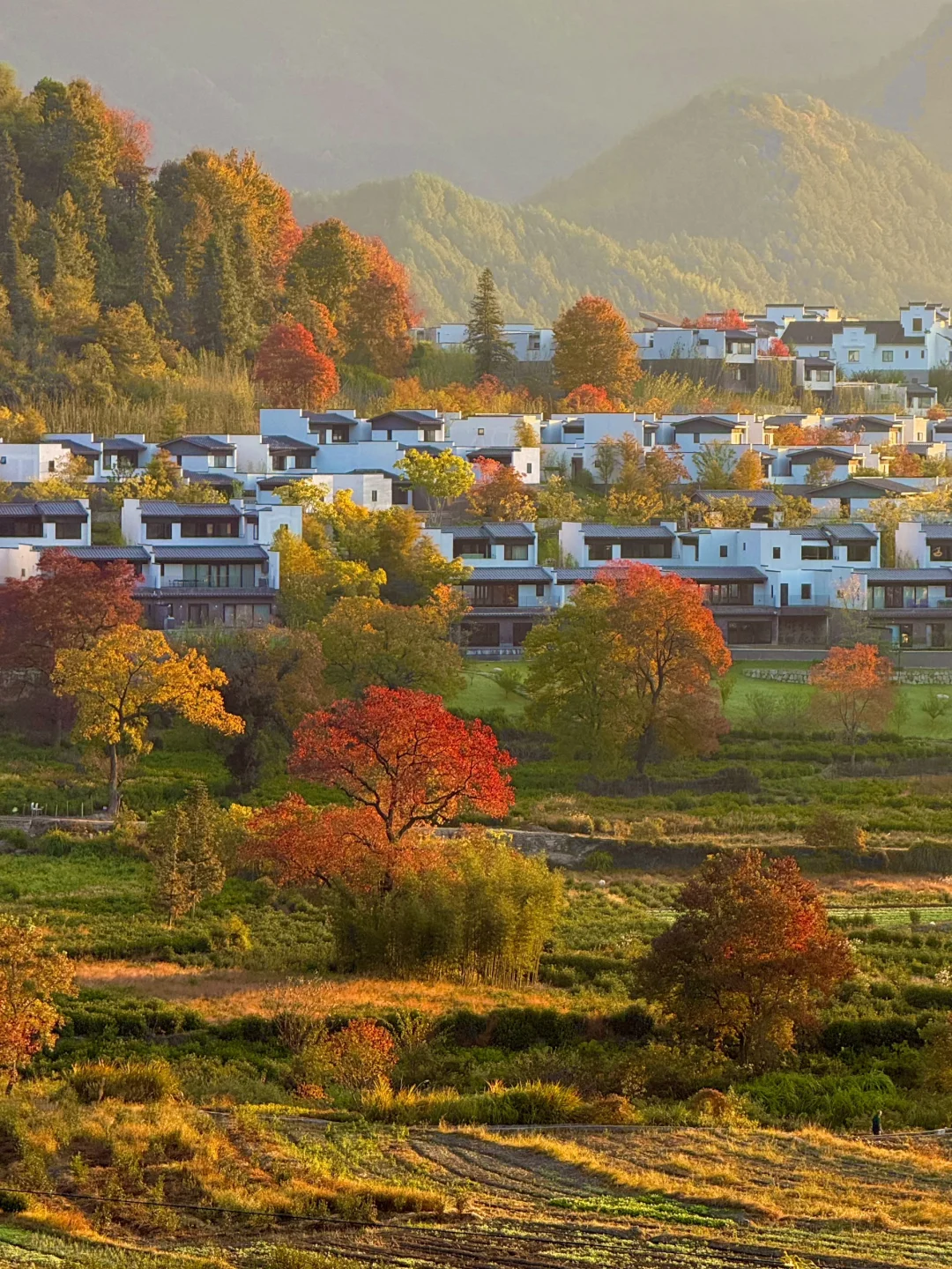 被《国家地理》评为中国最美的秋天🍂有多绝👍