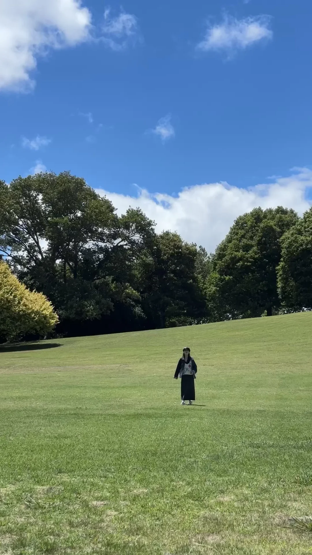 我坐公交游完了新西兰！🇳🇿｜内附攻略