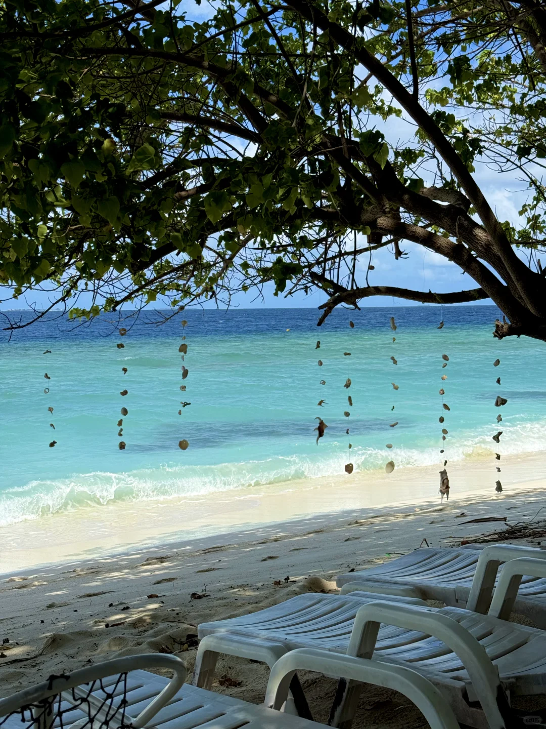 人均3500的马尔代夫🇲🇻9天8晚