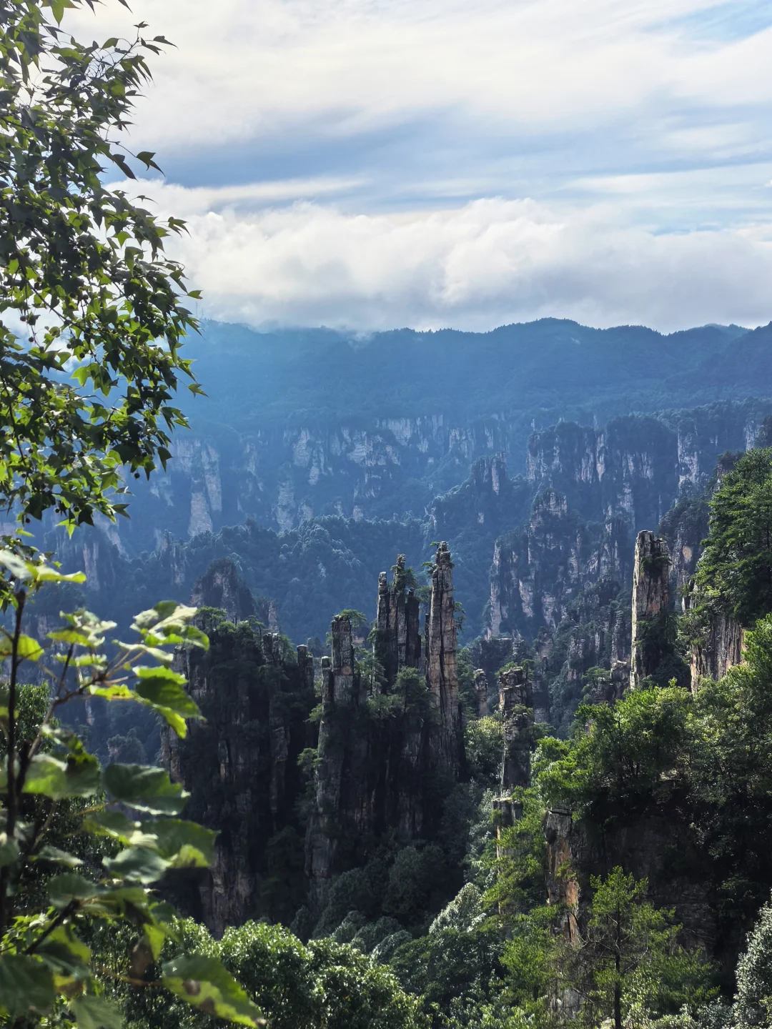 含氧之旅—张家界+凤凰古城
