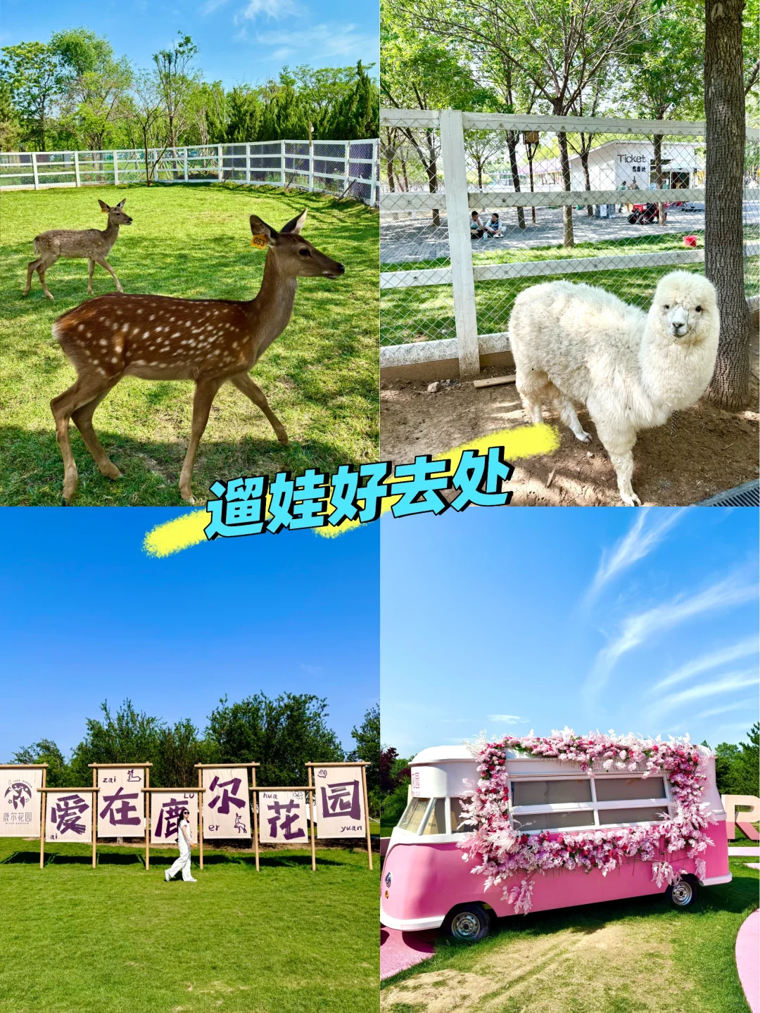 一站式遛娃宝藏地🏕——邯郸🦌鹿尔花园