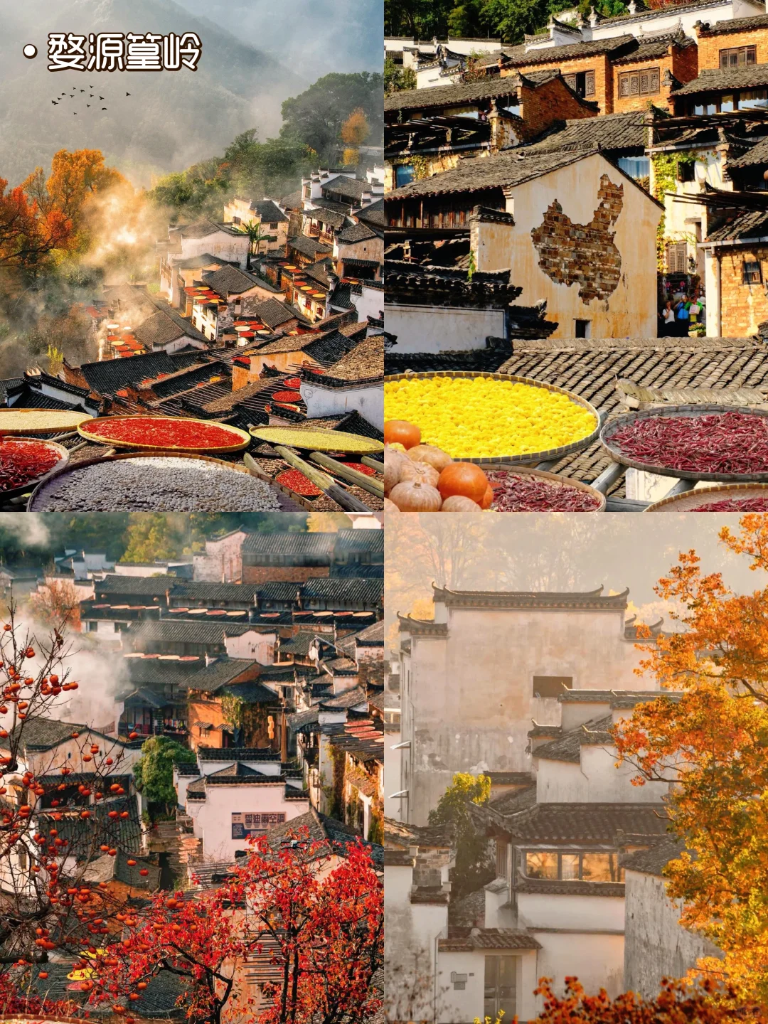 赏秋攻略：中国最美秋景TOP5，错过要等明年