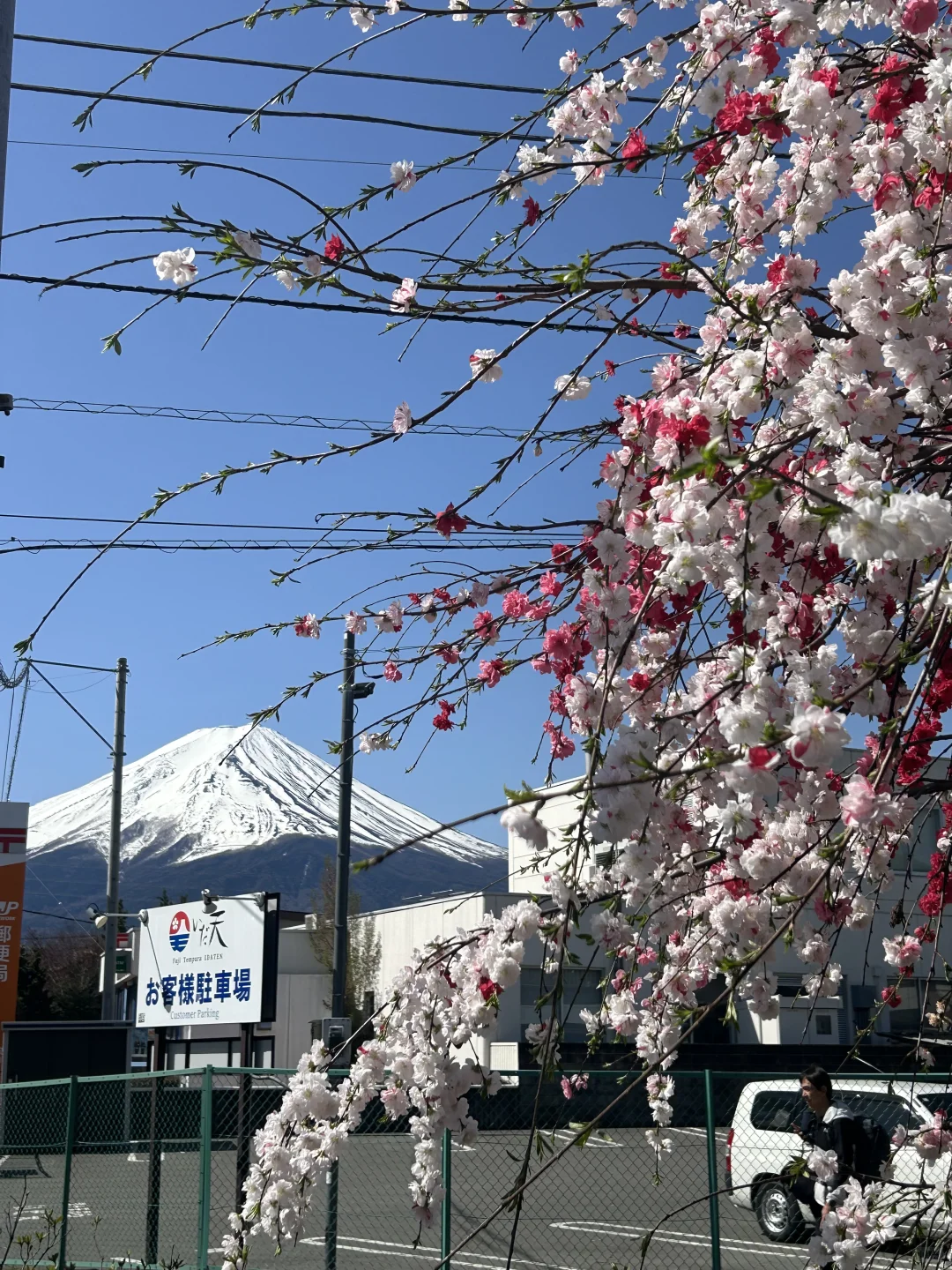 绝美富士山观赏攻略