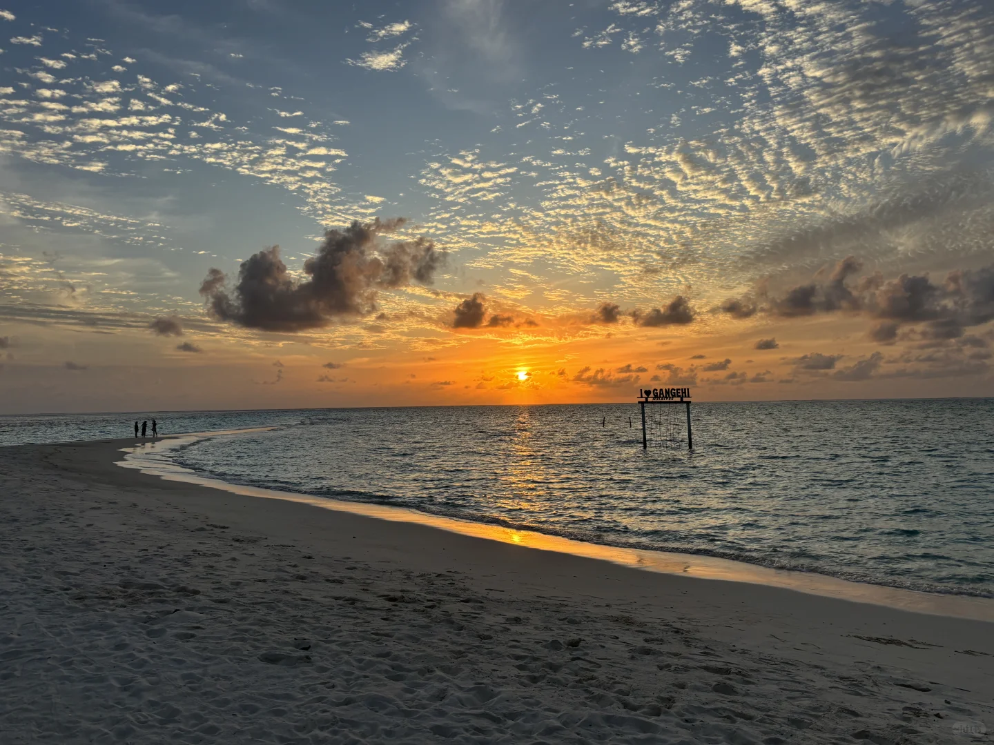 🇲🇻一个人的岛民日记
