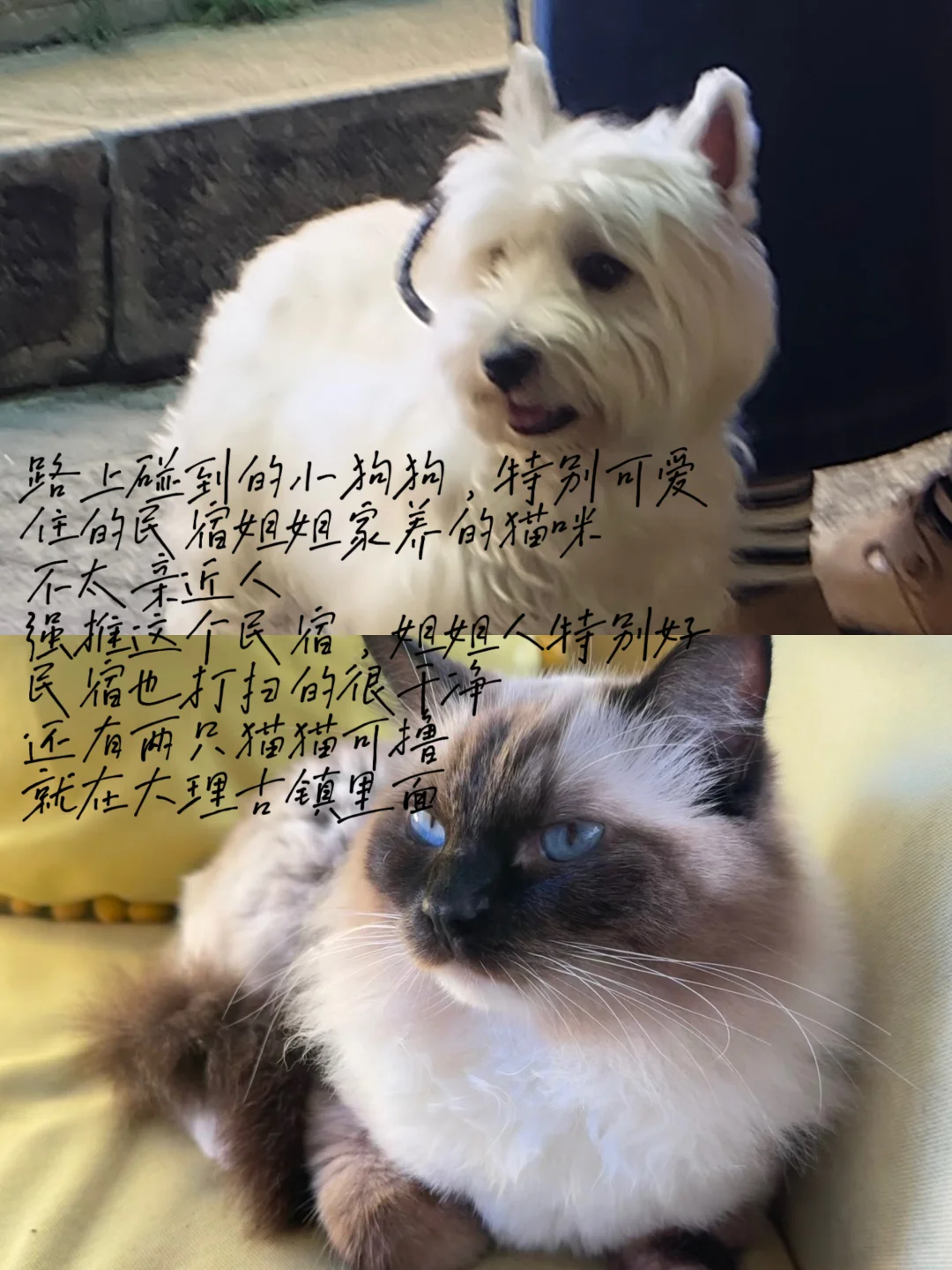大理旅游推荐