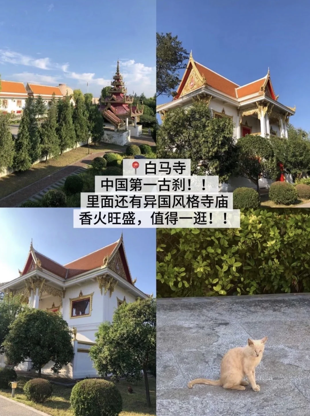洛阳旅游必吃榜!!(附攻略!!