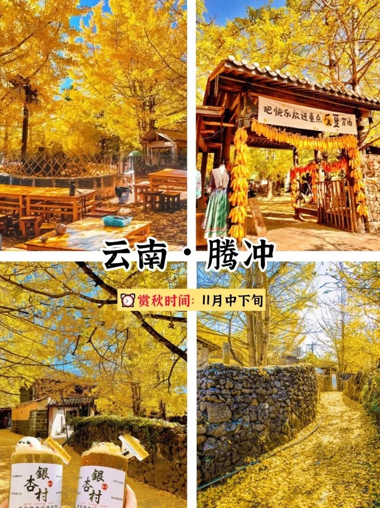 25国内赏秋好去处 | 9-12⽉秋⽇出⾏指南！