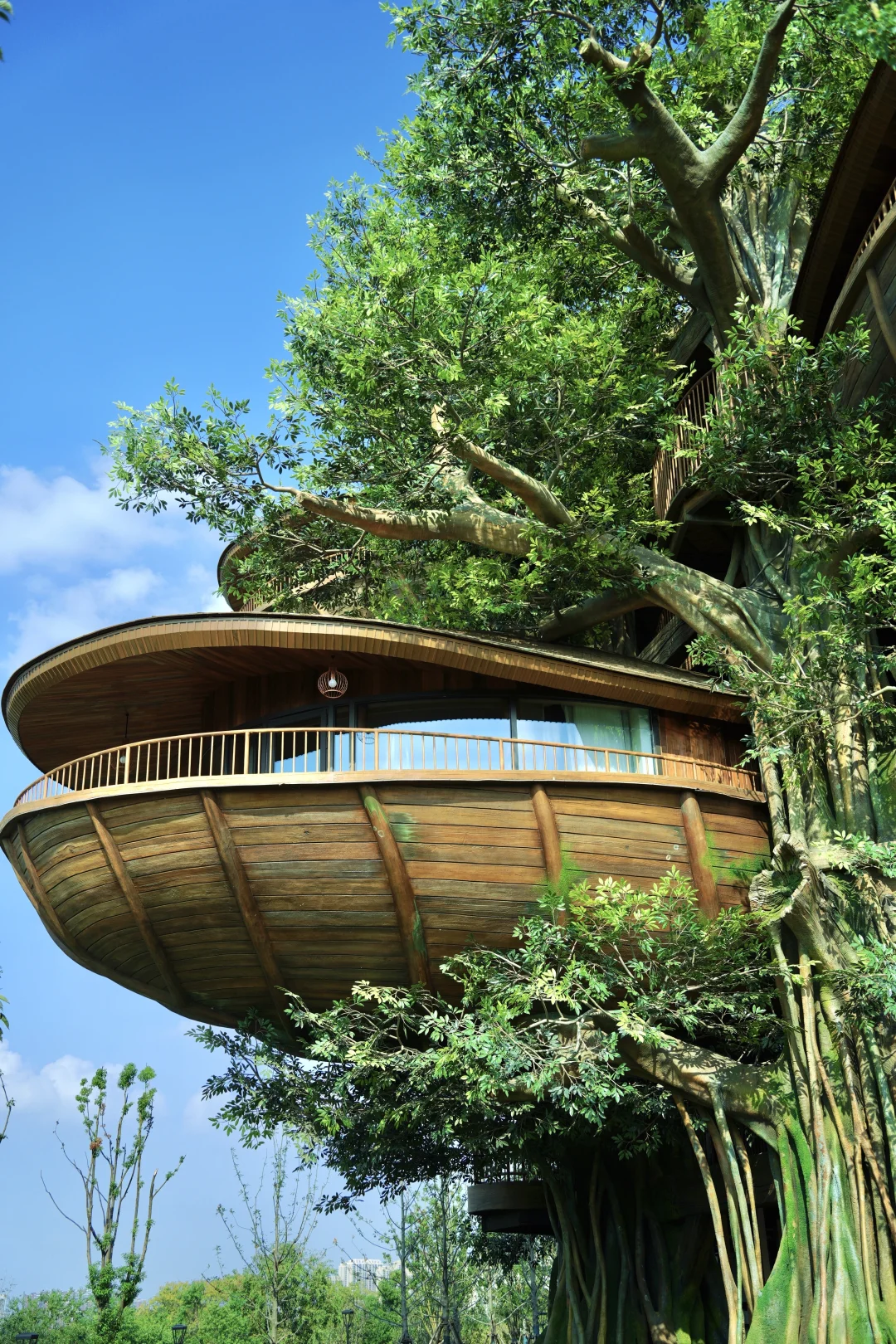 不是新西兰,是武汉,住进森林🌳树屋🛖